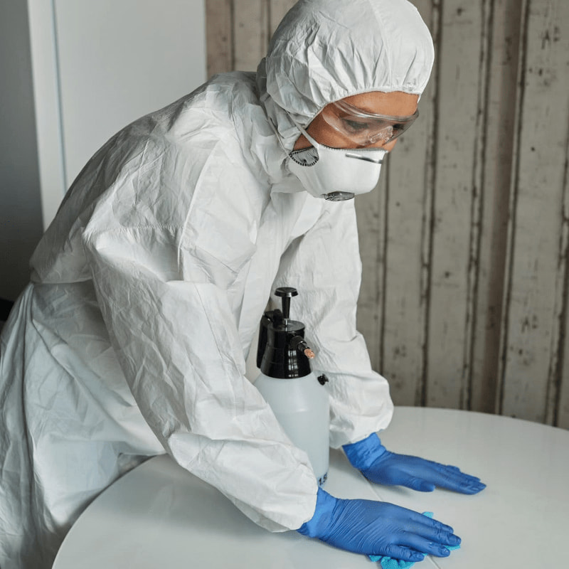 Photo of woman cleaning