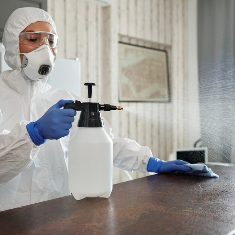 Photo of woman cleaning